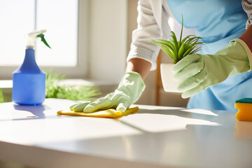 cleaning services